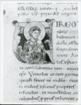 Anonimo italiano sec. XI , Iniziale V, Iniziale abitata, Santa Prassede, Motivi decorativi fitomorfi