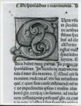 Università di Pisa. Dipartimento di Storia delle Arti , Anonimo italiano - post 1477 - Lucca, Biblioteca Capitolare Feliniana, Ms. 157, f. 2r, particolare