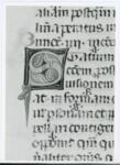 Anonimo italiano sec. XIV , Iniziale S, Iniziale decorata, Motivi decorativi fitomorfi