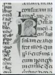 Anonimo italiano sec. XIV , Iniziale R, Iniziale decorata, Motivi decorativi fitomorfi
