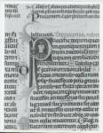 Anonimo italiano sec. XIII/XIV , Iniziale P, Iniziale abitata, Ritratto di monaco, Motivi decorativi fitomorfi