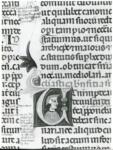 Anonimo italiano sec. XIII/XIV , Iniziale U, Iniziale abitata, Ritratto di giovane uomo con cappello, Motivi decorativi fitomorfi