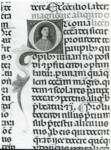 Anonimo italiano sec. XIII/XIV , Iniziale Q, Iniziale abitata, Ritratto di uomo a mezzo busto, Motivi decorativi fitomorfi