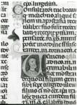 Anonimo italiano sec. XIII/XIV , Iniziale V, Iniziale abitata, Ritratto di uomo con la barba, Motivi decorativi fitomorfi