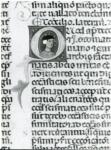 Anonimo italiano sec. XIII/XIV , Iniziale Q, Iniziale abitata, Ritratto di uomo con cappello, Motivi decorativi fitomorfi
