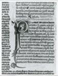 Anonimo italiano sec. XIII/XIV , Iniziale P, Iniziale figurata, Ritratto di uomo con cappello, Motivi decorativi fitomorfi