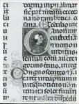 Anonimo italiano sec. XIII/XIV , Iniziale C, Iniziale abitata, Ritratto maschile di profilo, Motivi decorativi fitomorfi