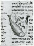 Anonimo italiano sec. XI , Iniziale V, Iniziale figurata, Motivi decorativi fitomorfi, Pesce