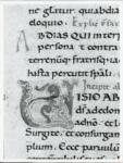 Anonimo italiano sec. XI , Iniziale V, Iniziale figurata, Motivi decorativi fitomorfi