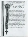 Anonimo italiano sec. XI , Iniziale I, Iniziale decorata, Motivi decorativi geometrici e vegetali, Intreccio, Motivo decorativo zoomorfo