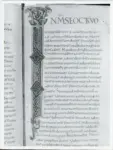 Anonimo italiano sec. XI , Iniziale I, Iniziale decorata, Motivo decorativo con losanga e motivi geometrici, Intreccio, Motivi decorativi fitomorfi