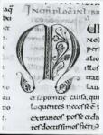 Anonimo italiano sec. XI , Iniziale M, Iniziale decorata, Motivi decorativi geometrici e vegetali