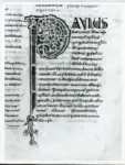 Anonimo italiano sec. XI , Iniziale P, Iniziale decorata, Motivi decorativi vegetali e zoomorfi, Motivi decorativi geometrici, Intreccio