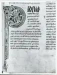 Anonimo italiano sec. XI , Iniziale P, Iniziale decorata, Motivi decorativi vegetali e zoomorfi, Motivi decorativi geometrici, Intreccio