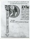 Anonimo italiano sec. XI , Iniziale P, Iniziale abitata, San Paolo, Motivi decorativi geometrici e vegetali, Intreccio