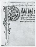 Anonimo italiano sec. XI , Iniziale P, Iniziale decorata, Motivi decorativi vegetali e zoomorfi