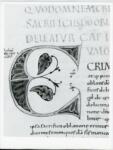 Anonimo italiano sec. XI , Iniziale C, Iniziale decorata, Motivi decorativi fitomorfi