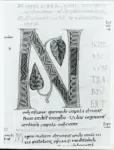 Anonimo italiano sec. XI , Iniziale N, Iniziale decorata, Motivi decorativi geometrici e vegetali