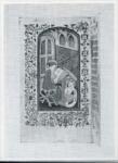 Anonimo francese sec. XV , San Luca Evangelista e il bue, Motivi decorativi fitomorfi