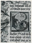 Anonimo sec. XV/ XVI , Iniziale B, Iniziale istoriata, Visione di san Francesco d'Assisi, Motivi decorativi fitomorfi