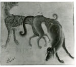 Siyah Qalam , Animali