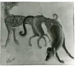 Siyah Qalam , Animali