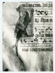 Bartolomeo di Fruosino , Iniziale I, Iniziale figurata, Motivo decorativo zoomorfo, Notazione musicale
