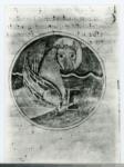 Anonimo sec. XII , Simbolo di san Luca Evangelista: bue