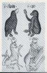 Anonimo , The Helmingham Herbal and Bestiary, manuscript on vellum, England, last quarter of the fifteenth century