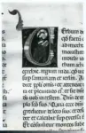 Anonimo sec. XIII , Iniziale V, Iniziale abitata, Cristo, Motivi decorativi fitomorfi