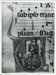 Anonimo , Ms. 2648 - p. 264 - Lucca B.G.