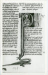 Anonimo sec. XIII , Iniziale P, Iniziale abitata, San Paolo, Motivo decorativo zoomorfo