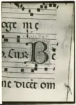 &nbsp; , Iniziale B, Iniziale decorata, Motivi decorativi fitomorfi, Notazione musicale