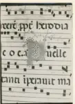 &nbsp; , Iniziale P, Motivi decorativi fitomorfi, Notazione musicale