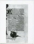 Anonimo sec. XIV ; Barisini Tommaso, (?) , Iniziale D, Iniziale abitata, Madonna con Bambino, Figura maschile orante, Motivi decorativi fitomorfi