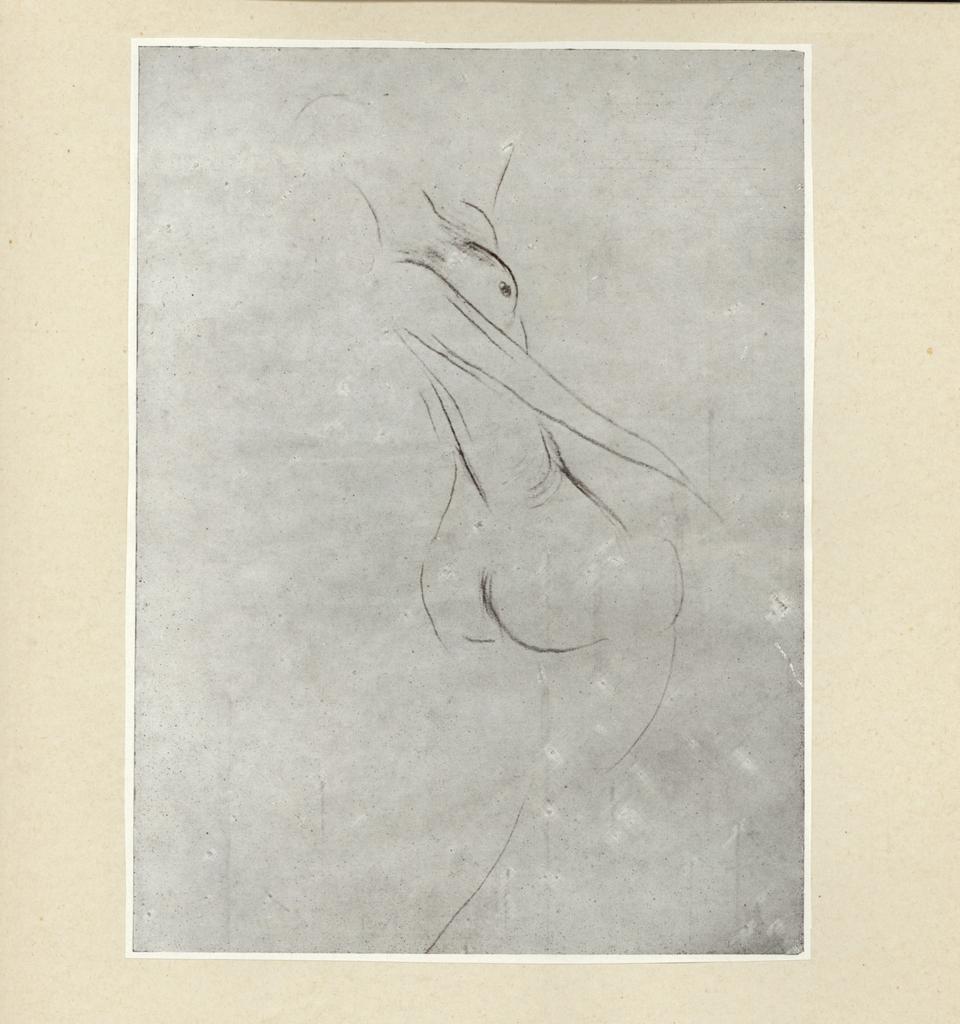 fronte