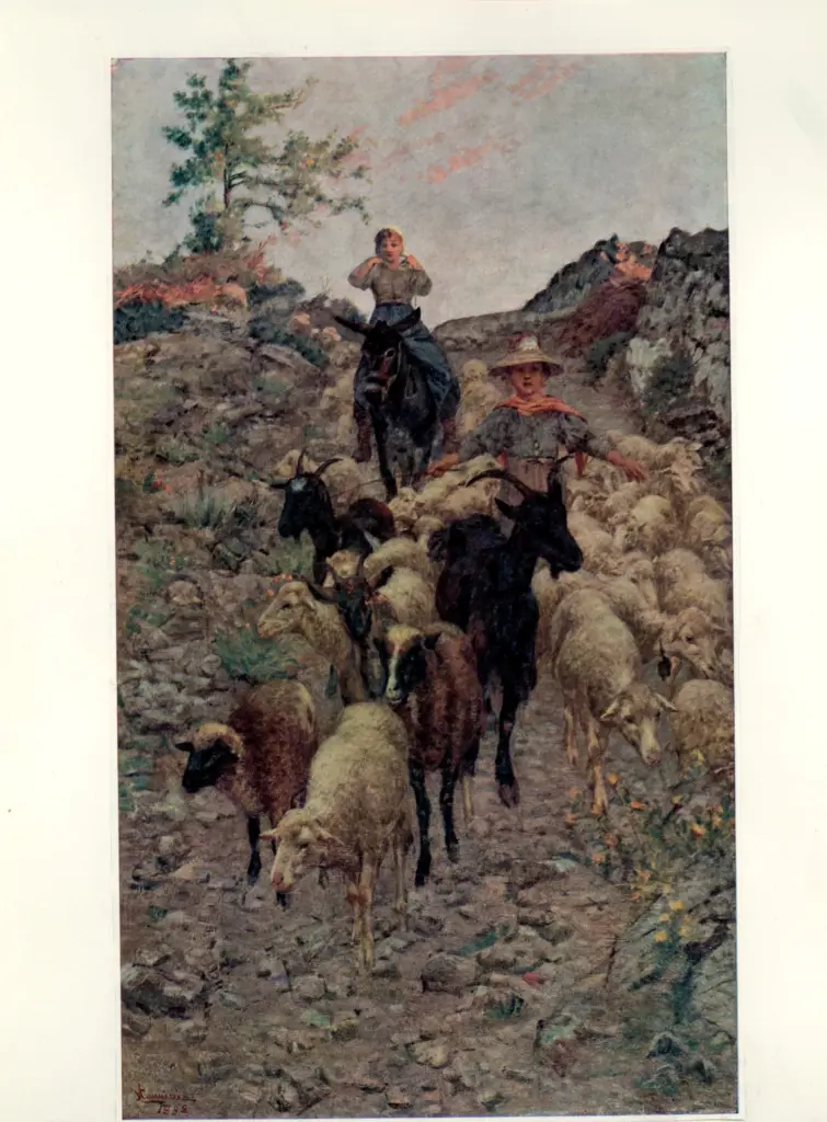 Anonimo , Cannicci, Niccol&ograve; - sec. XIX/ XX - Mattino di Maggio , fronte