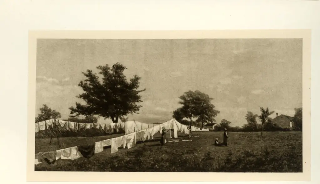 Ciardi, Guglielmo , Panni al sole -