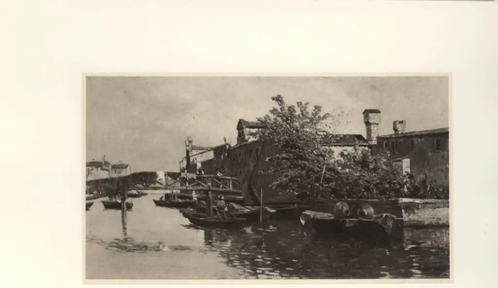 Ciardi, Guglielmo , Reti al sole -