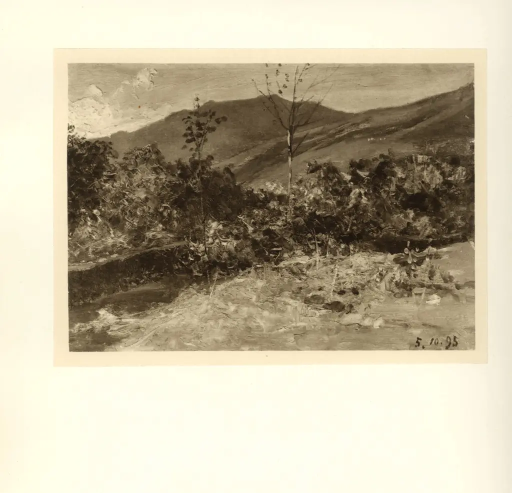 Anonimo , Delleani, Lorenzo - sec. XIX - Paesaggio , fronte