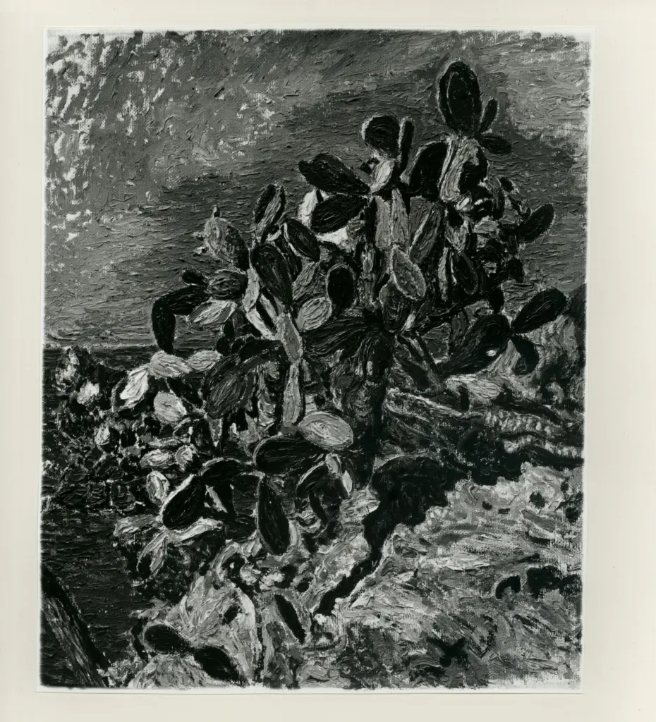 Merello, Rubaldo , fronte