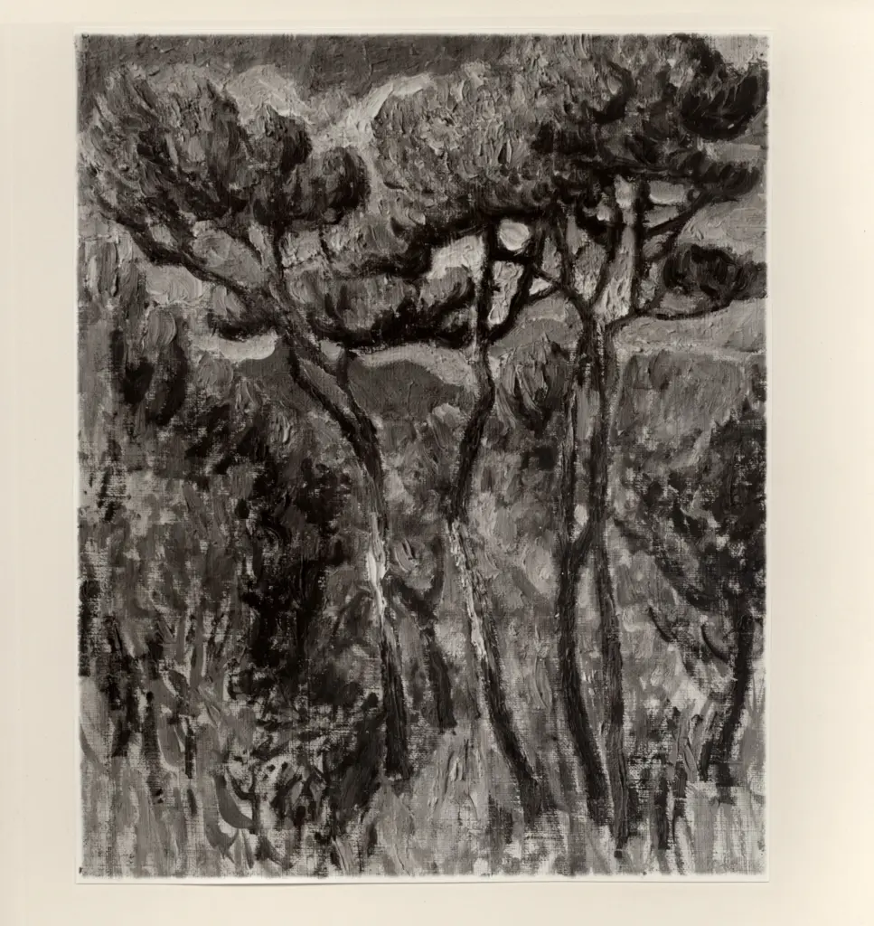 Merello, Rubaldo , Pini