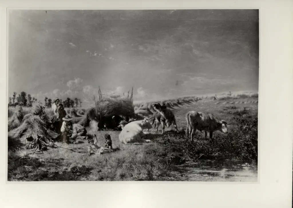 Anonimo, Anonimo , fronte