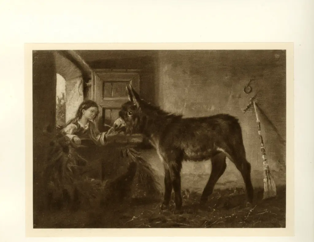 Palizzi, Filippo , Asinello e contadina