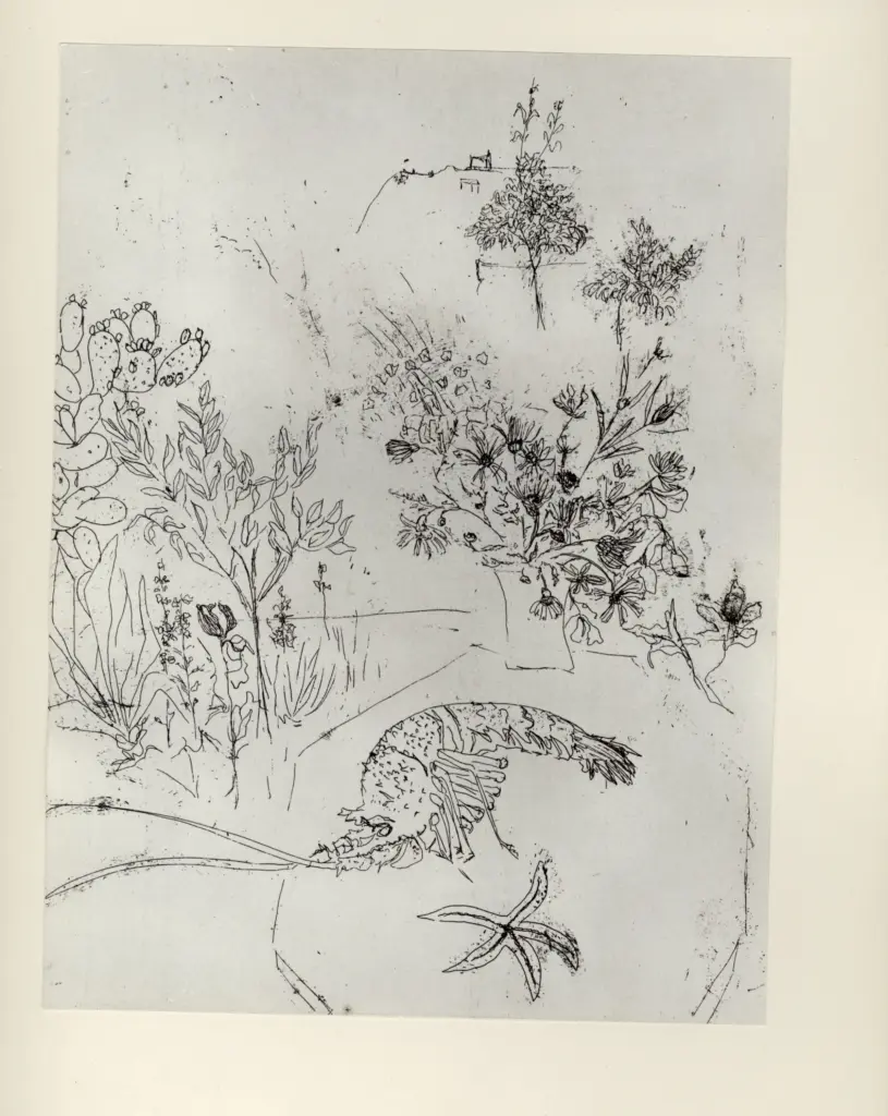 Parisot, Adriano , Possibilità della materia n. 7