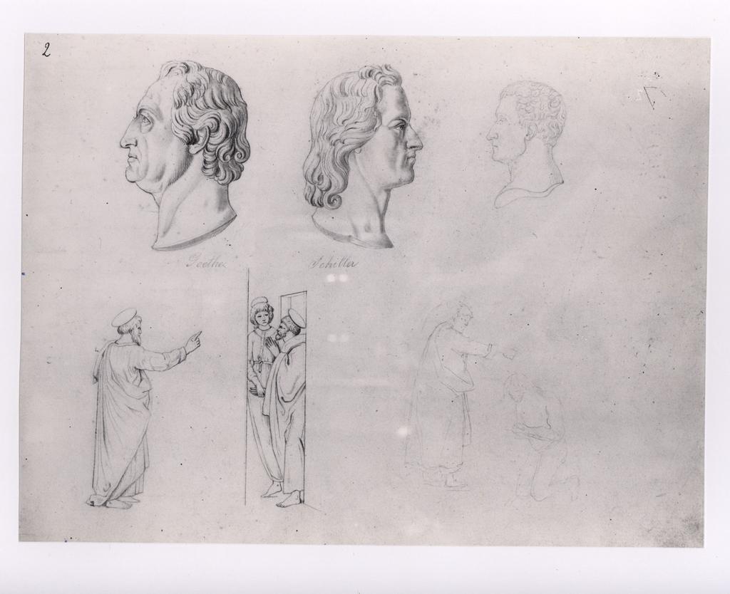 fronte