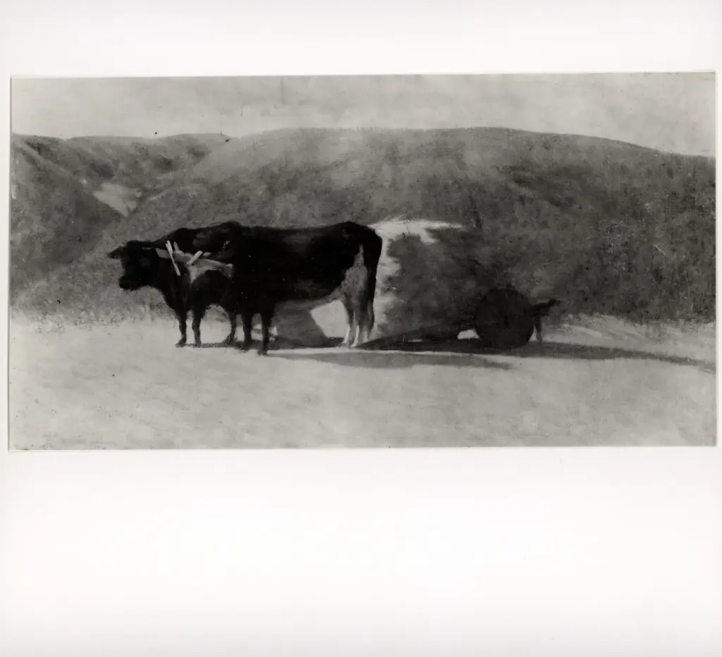 Anonimo , Sernesi, Raffaello - sec. XIX - Buoi neri al carro , fronte