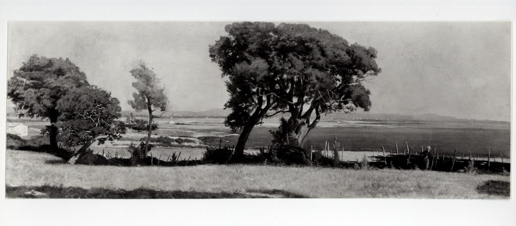 Anonimo , Sernesi, Raffaello - sec. XIX - Marina di Castiglioncello (lago Trasimeno) , fronte
