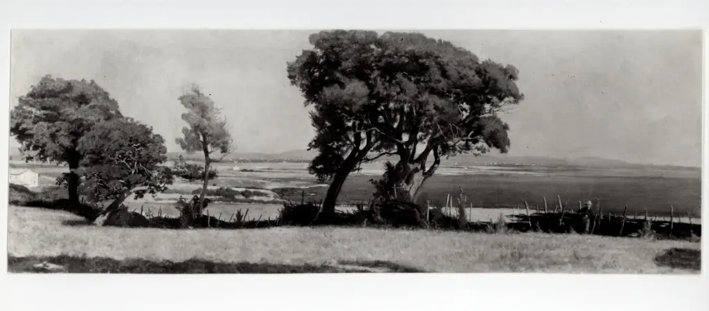 Anonimo , Sernesi, Raffaello - sec. XIX - Marina di Castiglioncello (lago Trasimeno) , fronte