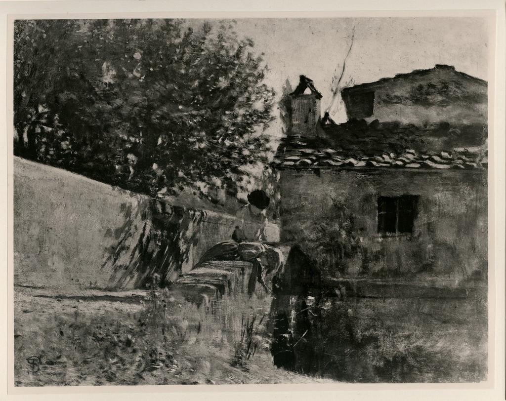fronte
